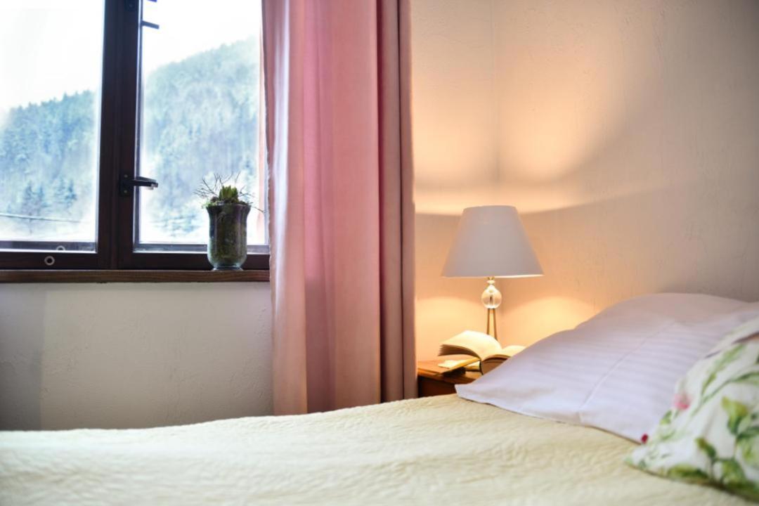 Villa Zacisze Trzech Gor à Jedlina-Zdroj Extérieur photo